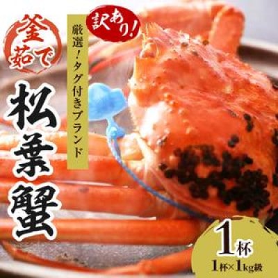 【訳あり!タグ付きブランド】茹で松葉かに 鮮度抜群、釜茹でにてお届け!　1kg級(足1本落ち)×1杯