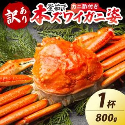 【大好評!カニ酢付き】訳あり!釜茹で!特大本ずわいがに姿 800g×1杯