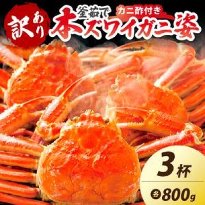 【大好評!カニ酢付き】訳あり!釜茹で!特大本ずわいがに姿 800g×3杯