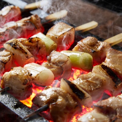 絶品!希少品種!京丹後産 京地どり 焼き鳥5種盛り合わせ 20本&手羽先・手羽元 各2個
