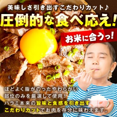 【2ヵ月毎定期便】【訳あり】牛ハラミ秘伝のタレ込み 味付け肉 600g(300g×2パック)全3回