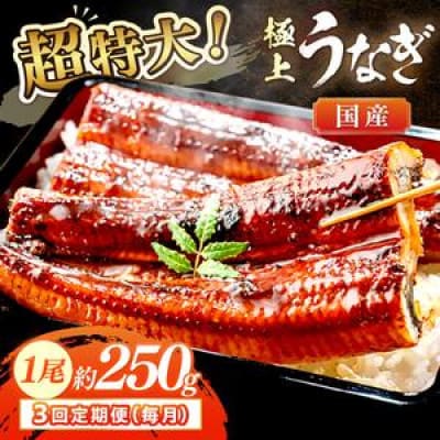 【毎月定期便】【旨味がじゅわ～!圧倒的な存在感】国産うなぎ蒲焼 1尾250g前後プレミアム一尾全3回