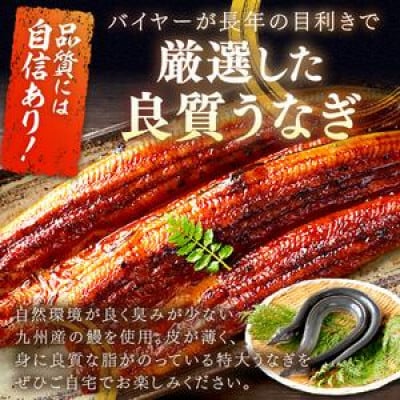 【毎月定期便】【旨味がじゅわ～!圧倒的な存在感】国産うなぎ蒲焼 2尾 合計500g前後全3回