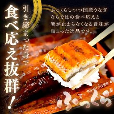 【2ヵ月毎定期便】【旨味がじゅわ～!圧倒的な存在感】国産うなぎ蒲焼 2尾 合計500g前後全3回