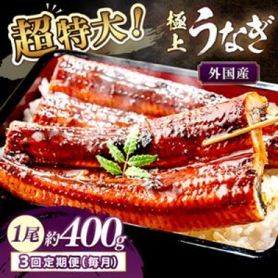 【毎月定期便】ふっくら肉厚!食べ応え抜群!うなぎ蒲焼 1尾 400g前後全3回