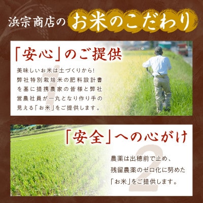 【先行受付】【美味しさ追求】2024年産 京都・丹後コシヒカリ 無洗米 5kg