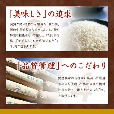 【先行受付】【美味しさ追求】2024年産 京都・丹後コシヒカリ 無洗米 5kg