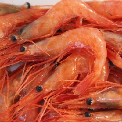 京丹後海鮮せんべい《あまえび》あまえびの姿せんべい　お酒のあてに抜群!プレゼント、お子様のおやつにも