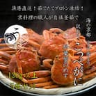 松葉蟹めす!京丹後市より茹でたて ! プロトン凍結 【 訳あり 】 茹でこっぺがに 香箱ガニ  5杯