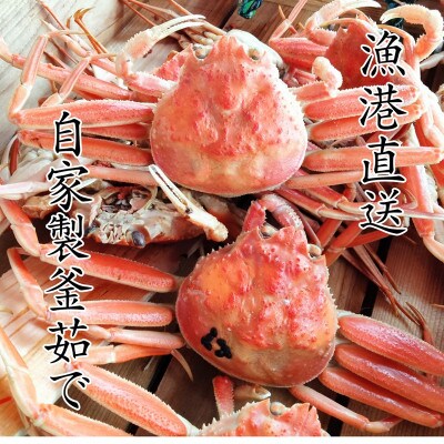 松葉蟹めす!京丹後市より茹でたて ! プロトン凍結 【 訳あり 】 茹でこっぺがに 香箱ガニ 10杯