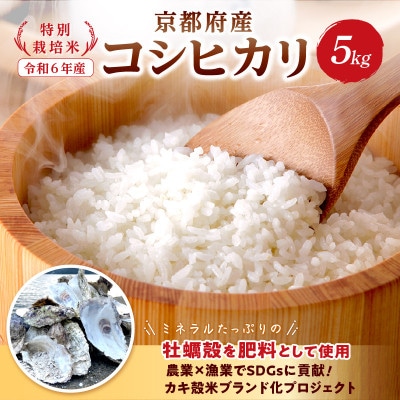 【24年9月下旬～発送】久美浜産牡蠣殻使用【特別栽培米】R6京都府産コシヒカリ5kg(真空パック)
