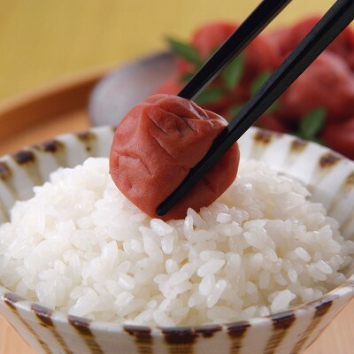 【24年9月下旬～発送】久美浜産牡蠣殻使用【特別栽培米】R6京都府産コシヒカリ5kg(真空パック)