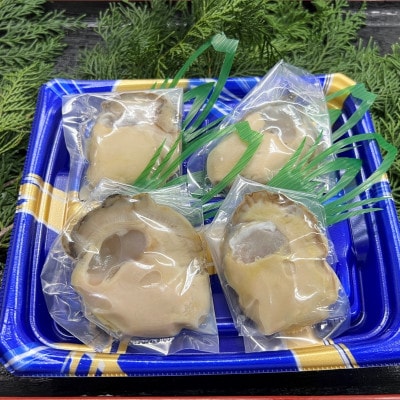 京都・京丹後産　鮮度抜群!濃厚肉厚岩牡蠣(生食用)12個入り(個別包装・冷凍)
