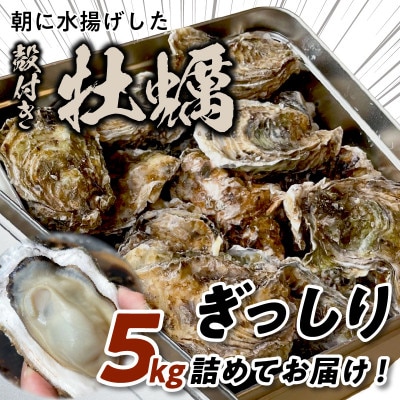 京都・京丹後産牡蠣5kg(約50個)