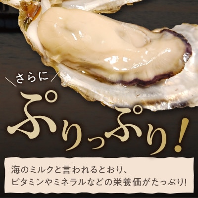 京都・京丹後産牡蠣5kg(約50個)