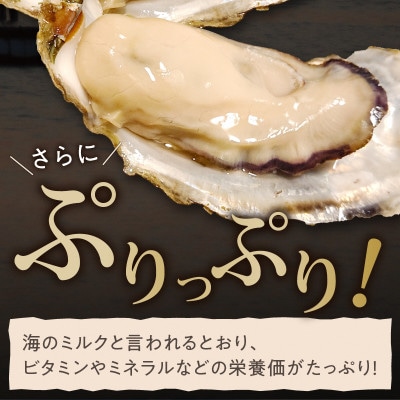 【加熱用】京都・京丹後産牡蠣　約20個