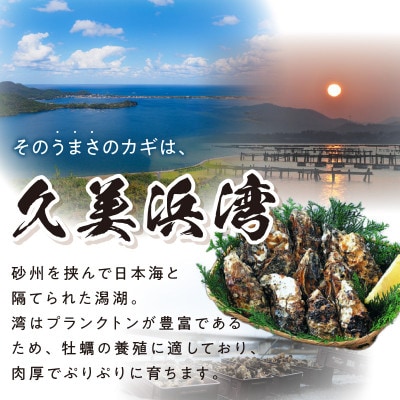 久美浜産 牡蠣グラタン 3個セット 栄養豊富な久美浜湾で育った大粒の牡蠣で作った本格的な牡蠣グラタン