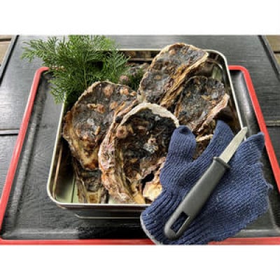 京都・京丹後産　鮮度抜群!濃厚肉厚岩牡蠣(生食用)約5kg(約10個)【かんかん入り・ナイフ付き】