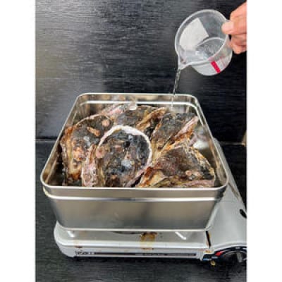 京都・京丹後産　鮮度抜群!濃厚肉厚岩牡蠣(生食用)約5kg(約10個)【かんかん入り・ナイフ付き】