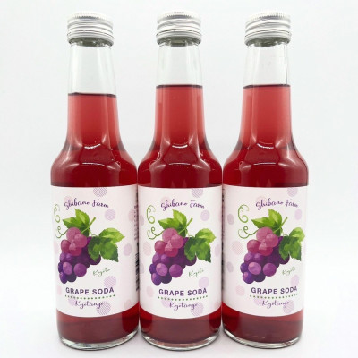 【先行予約】京丹後のぶどう炭酸ジュース(ソーダ) 小瓶250ml×3本(2025年9月下旬順次発送)