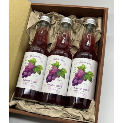 【先行予約】京丹後のぶどう炭酸ジュース(ソーダ) 小瓶250ml×5本(2025年9月下旬順次発送)