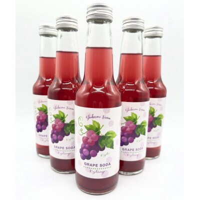 【先行予約】京丹後のぶどう炭酸ジュース(ソーダ) 小瓶250ml×5本(2025年9月下旬順次発送)