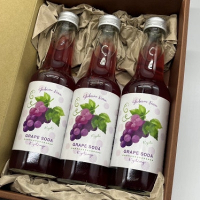 【先行予約】京丹後のぶどう炭酸ジュース(ソーダ) 小瓶250ml×5本(2025年9月下旬順次発送)