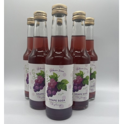 京丹後のぶどう炭酸ジュース(ソーダ) 小瓶250ml×6本(2025年9月下旬順次発送)