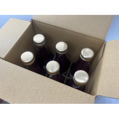 京丹後のぶどう炭酸ジュース(ソーダ) 小瓶250ml×6本(2025年9月下旬順次発送)