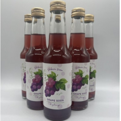京丹後のぶどう炭酸ジュース(ソーダ) 小瓶250ml×6本(2025年9月下旬順次発送)