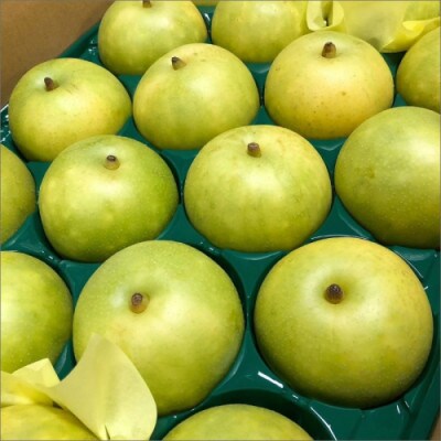 【先行予約】京丹後の梨ジュース 大瓶2本入り(2026年10月下旬～順次発送)