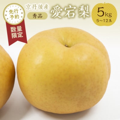 【先行予約/数量限定】愛宕梨 秀品 5kg(5～12玉入り)(2026年11月下旬～発送)