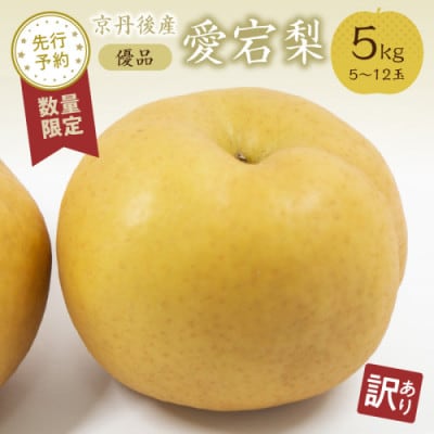 【先行予約/数量限定】【訳あり】愛宕梨 優品 5kg(5～12玉入り)(2026年11月下旬～発送)