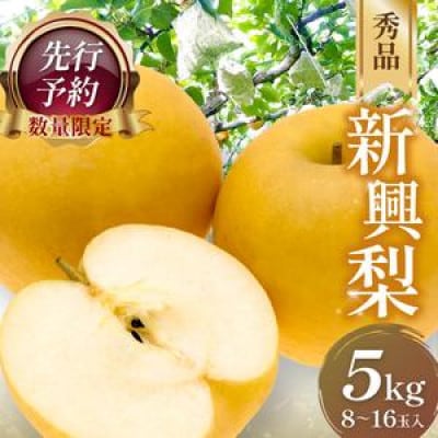 【先行予約/数量限定】新興梨 秀品 5kg(8～16玉入り)(2026年10月上旬～発送)