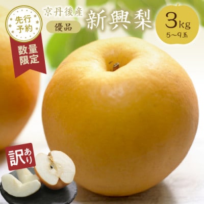 【先行予約/数量限定】【訳あり】新興梨 優品 3kg(5～9玉入り)(2026年10月上旬～発送)
