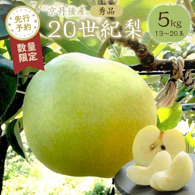 【先行予約/数量限定】20世紀梨 秀品 5kg(13～20玉入り)(2026年9月上旬～発送)
