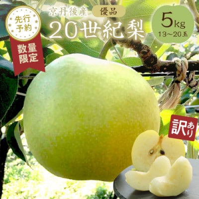 【先行予約/数量限定】訳あり20世紀梨 優品 5kg(13～20玉入り)(2026年9月上旬〜発送)