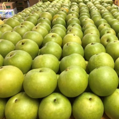 【先行予約/数量限定】訳あり20世紀梨 優品 3kg(7～12玉入り)(2026年9月上旬～発送)