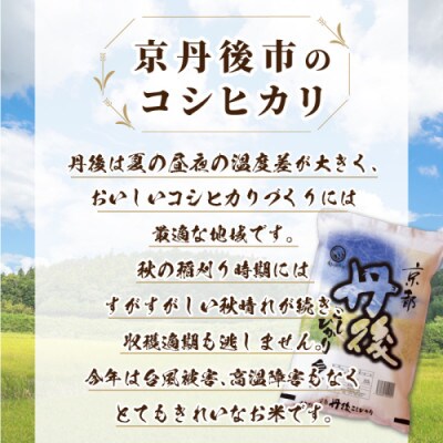 令和6年産　京都丹後産　コシヒカリ10kg(5kg×2袋)