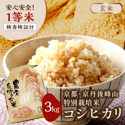 2025年産 京都・京丹後峰山 特別栽培米コシヒカリ 3kg 【玄米】 1等米 検査済証付