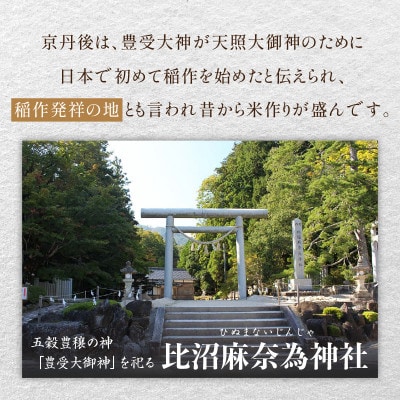 2025年産 京都・京丹後峰山 特別栽培米コシヒカリ 5kg 【玄米】 1等米 検査済証付