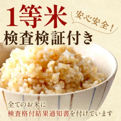 2025年産 京都・京丹後峰山 特別栽培米コシヒカリ 10kg 【玄米】 1等米 検査済証付