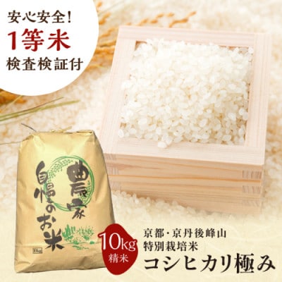 2024年産 京都・京丹後峰山 特別栽培米コシヒカリ極み 10kg 【白米】 1等米 検査済証付