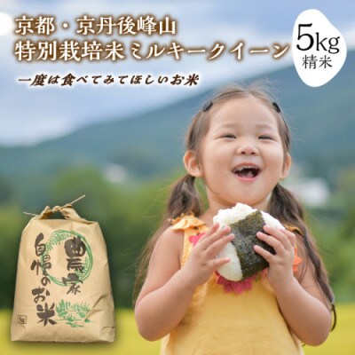 2024年産 京都・京丹後峰山 特別栽培米ミルキークイーン 5kg 【白米】 1等米 検査済証付