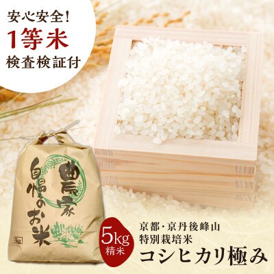 2024年産 京都・京丹後峰山 特別栽培米コシヒカリ極み 5kg 【白米】 1等米 検査済証付
