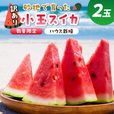 にしまるスイカ 訳あり 2玉入り(ハウス栽培)(2025年6月中旬から順次発送)