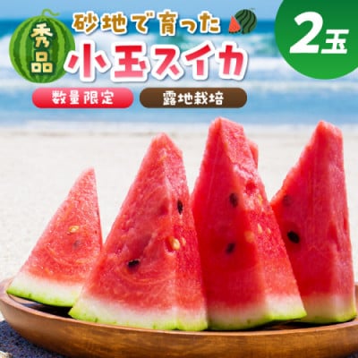 にしまるスイカ 秀品 2玉入り(露地栽培)(2025年7月中旬から順次発送)