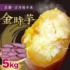 京都産さつまいも 土付き金時芋5kg(2025年11月中旬～順次発送) ホクホクした薩摩芋