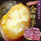 【訳あり】京都産さつまいも 土付き金時芋3kg(2025年11月中旬～順次発送) ホクホクした薩摩芋
