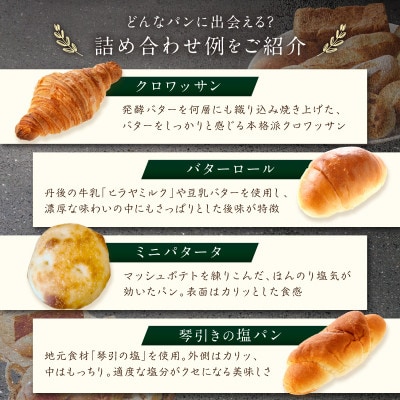 京都丹後のおまかせパン詰め合わせセット 10～12個 飽きのこないやさしい味わい 食事によくあうパン